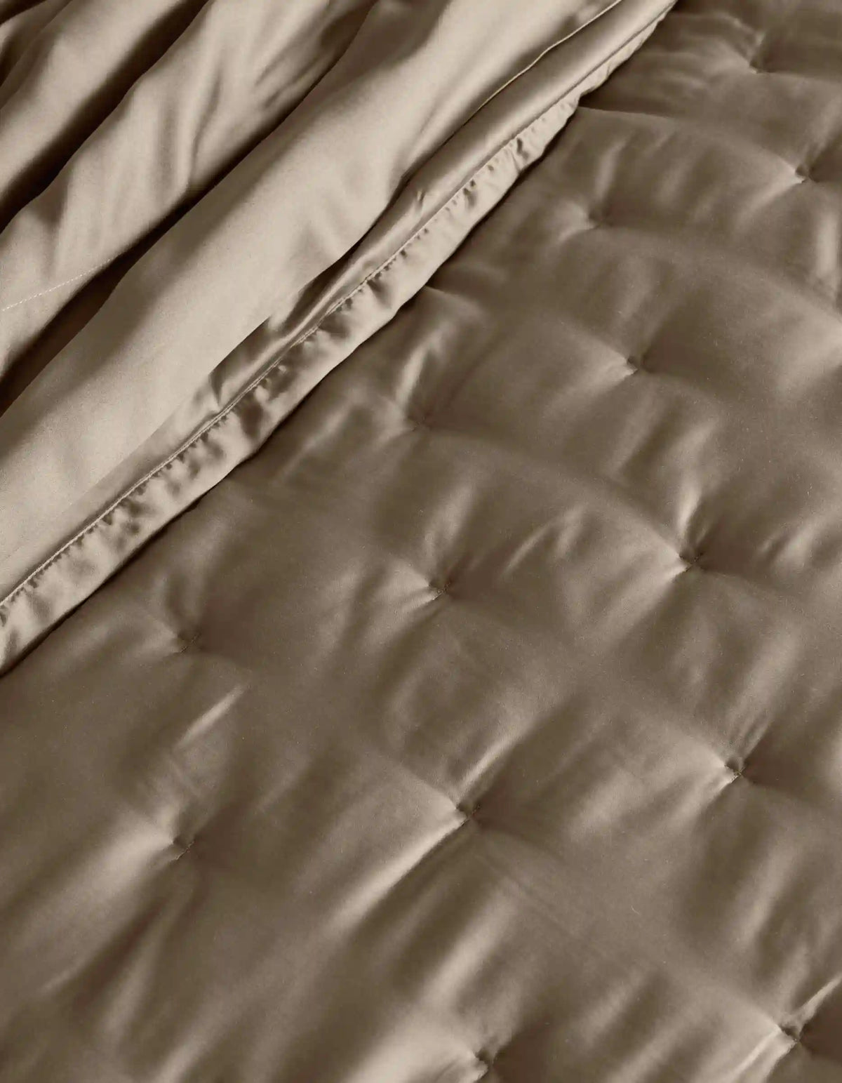 Bamboo Quilt Bundle