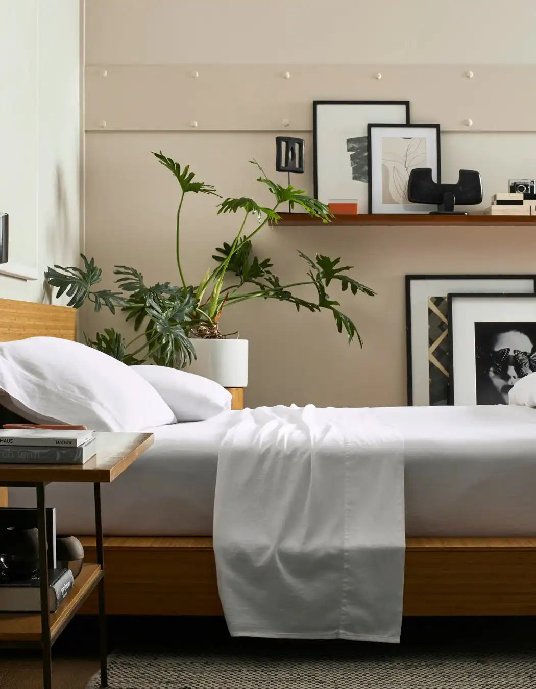 Soft-Wash Cotton Sheet Set