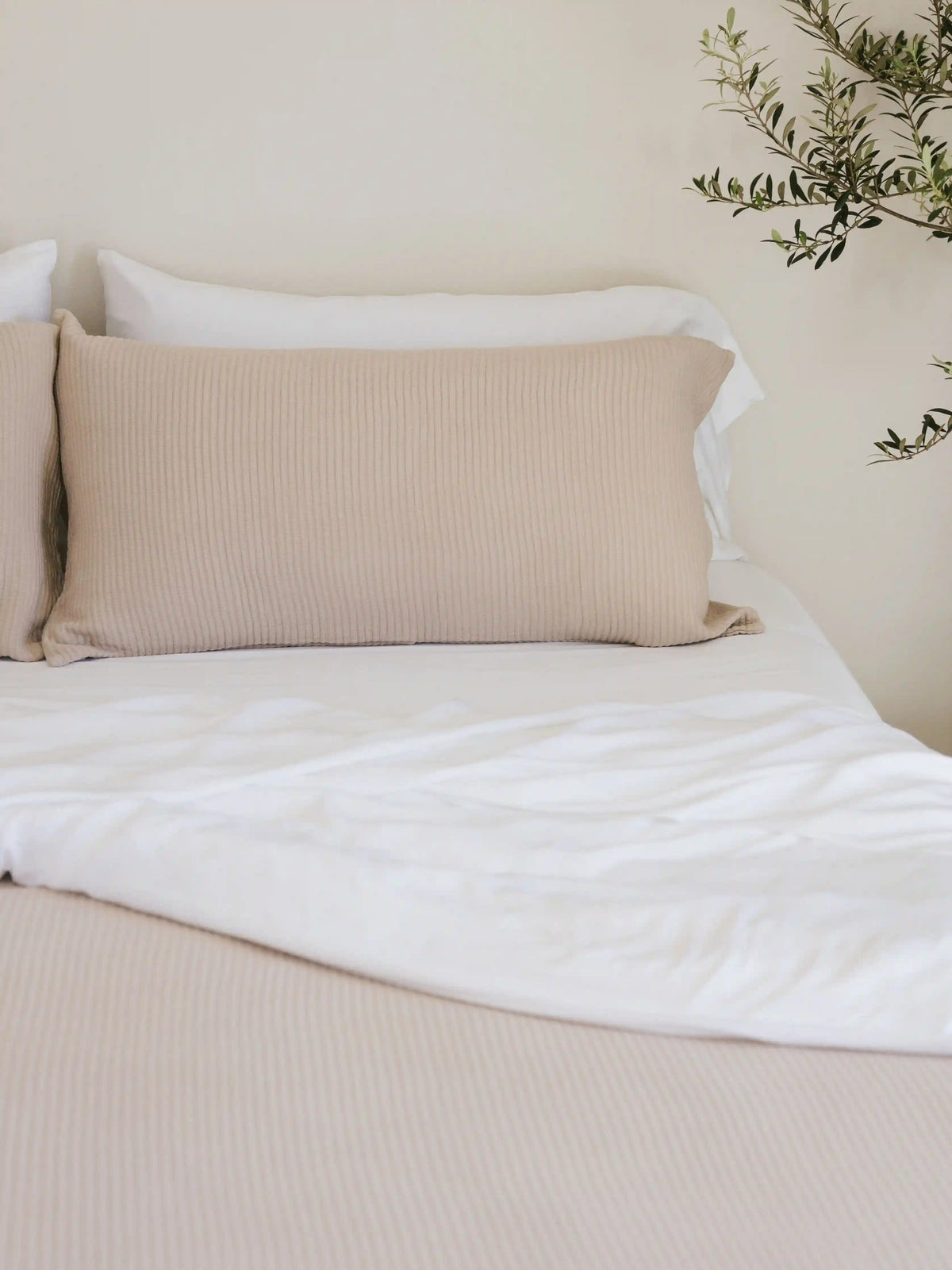 Bamboo Coverlet Shams