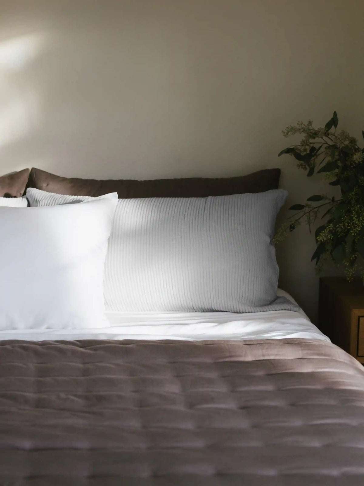 Bamboo Coverlet Shams